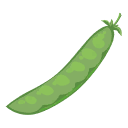 Bean Pod