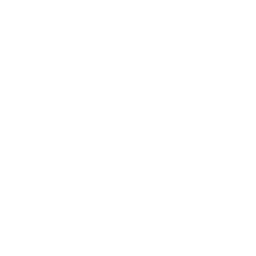 Moon Sketch