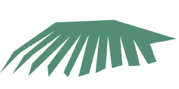 Palm Tree Leaf 5