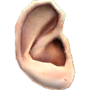 Plastic Ear