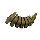 Dinosaur Skeleton Tail