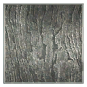 Metal Wood