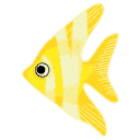 Yellow Angel Fish