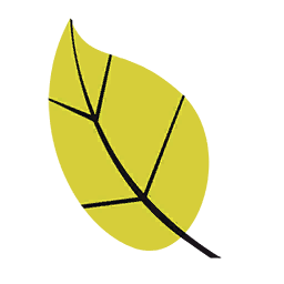 Yellow Leaf