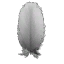 Swan Feather