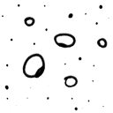 Doodle Circles