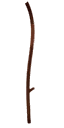 File:Sticker Zen Foliage Vine 4.png