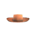 Woody's Hat