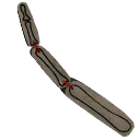 Skeletal Finger