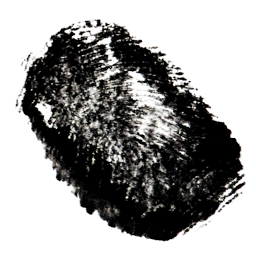 Fingerprint - Black 4