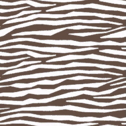 Zebra Skin Pattern