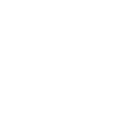 Low Battery
