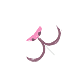 Rabbit Face