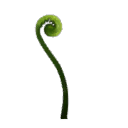 Swirly Sprout