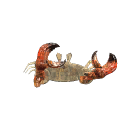 Wooden Crab