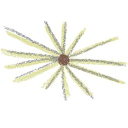 Dandelion Head