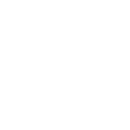 Doodle Sandy