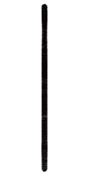 Vertical Black Line