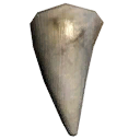 Sharp Tooth