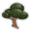 Big Flat Tree