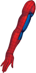 Spider-Man Arm
