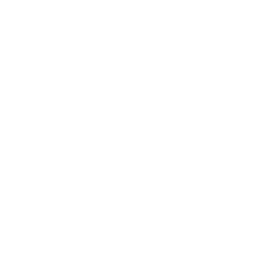 Rough #2