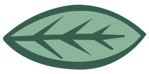 Leaf 6