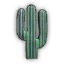 Cactus 3