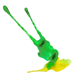 Paint Splat - Green-Yellow 2