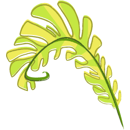 Fern Leaf 4