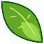 Little Leaf