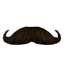 Bushy Moustache