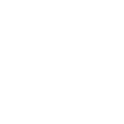 Hexagon Outline - Pure White