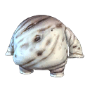 Nome Body