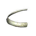 Rib