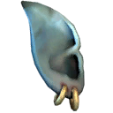 Pointy Ear