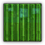 Bamboo - Green