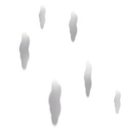 File:Sticker Unthemed Rain Cluster 2.png