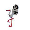 Crane - Animated