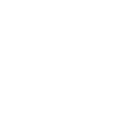Snow Flakes