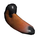 Swan Beak