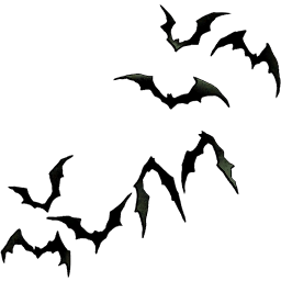Bats