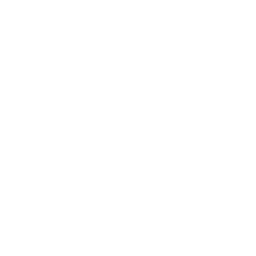 Star Burst - White