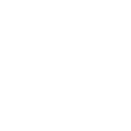 Rough White Line