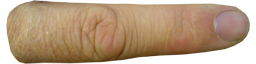 Real Finger