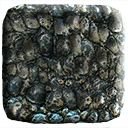Dinosaur Skin