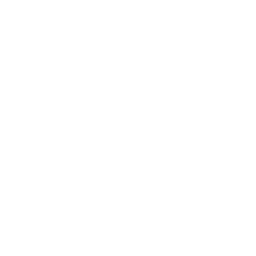 Faded Line - Thin White