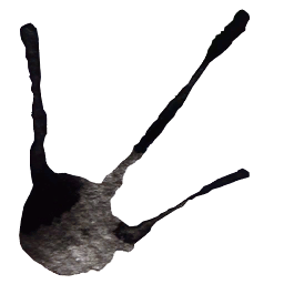 Black Dribble 5