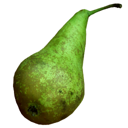 Photographic Pear