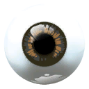 Eye Ball